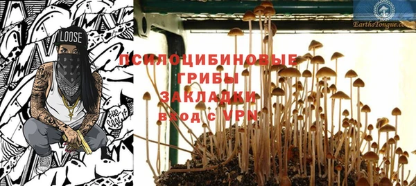 стаф Володарск