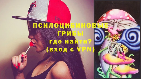 МДПВ Волоколамск